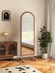 Full-length Movable Stainless Steel Mirror
