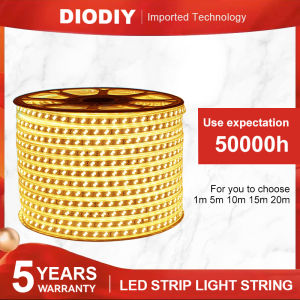 DIODIY Christmas Decorations 2025 DIY LED Strip light String Lighting Lights for Room Control Outdoor Waterproof Warm/White 1M 5M 10M 15M 20M