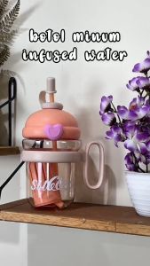 Botol Minum Infused Water 730 ML dengan Gagang Tebal dan Sedotan Gelas Tumbler Food Grade
