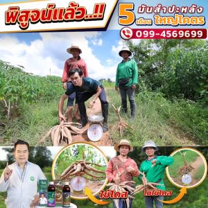 โดส ฮอร์โมนพืช (3ขวด) อาหารเสริมพืช เร่งผลผลิต เร่งใบ เร่งต้น เร่งดอก เร่งน้ำยาง เร่งโต โตไว ใบเขียว ป้องกันเชื้อรา959