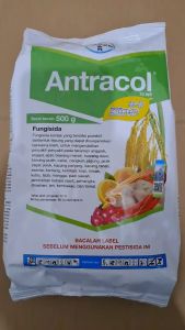 ANTRACOL 70 WP FUNGISIDA PENGENDALI PENYAKIT // ANTRAKOL FUNGISIDA
