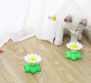 Đồ Chơi Trêu Mèo Tự Động Đế Quay Hoa Kèm Hình Bướm - iPet Shop