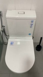 MAGNUM M935 Water Closet Free Install | Toilet Bowl With Free Installation