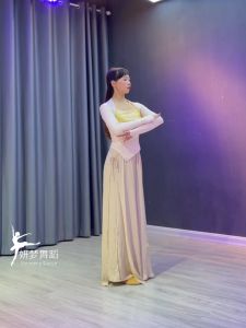 Classical dance costume Womens autumn Chinese style practice clothes dance clothes modern dance performance clothes long-sleeved shirt古典舞服女秋季中国风练功服舞蹈服现代舞演出服长袖上衣