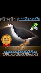 เสียงนกกวักกลางคืน เสียงต่อนกกวัก เสียงนกไก่นา ต่อเข้าเร็ว USBแฟลชไดร์ฟเสียงต่อนกกวัก เสียงดี ชัด100% ไม่มีโฆษณาแทรก MP3 เสียงต่อสัตว์