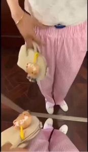 TAO SHOP กางเกงขายาว ลายแถบลายทาง ผู้หญิง สีสันพาสเทล คัลเลอร์ฟลู ที่แท้ทรู สีฟ้า /สีชมพูใส่ท่องเทียวแมทช์กันได้ง่ายๆเนื้อผ้าดีใส่สบายมีสินค้าพร้อมส่ง