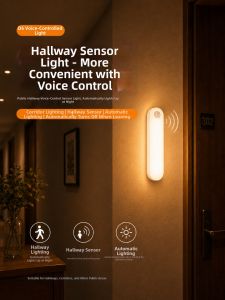 XLYS | Voice Control Induction LED Ceiling Light