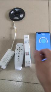 AC220V 2.4G Remote Control Intelligent LED Driver 8-24W 25-40W 37-60W X2 X4 X6 220mA Color Changeable Dimming Transformer