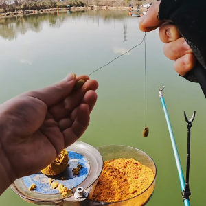 Bingolife Essen Atraktan / Booster Atraktan / Pemancing Ikan / 60ml/100ml / Pemancing Ampuh / Pancing Galak