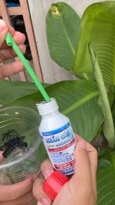 THẤM SÂU PREDIUM X3 100ML DÙNG CHO 10 BÌNH 25 LÍT NƯỚC TRỢ LỰC CHO CÁC SẢN PHẨM NÔNG NGHIỆP