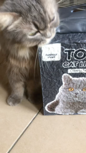 PURRFECTPAWS 1.5MM Ultra Thin/Premium Quality/Natural Tofu Cat Litter Sand 2.5KG/6L Pasir Kucing