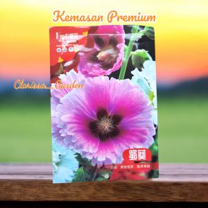 (KEMASAN PREMIUM) BIJI | BENIH BUNGA HOLLYHOCK PINK (isi -+100 butir)