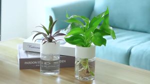 Hydroponic Pot Transparent Water Planting Vase Stylish Propagation Pot Container Aquaponic Planter Self Watering Flowerpot Transparent Succulent Hydroponic Plants Pot Mini Planter Pots Tabletop Flower Pot Home Bonsai Decor