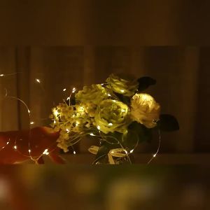 2/5/10/20M Fairy Light String USB Copper/Silver Wire Light String with Remote Control Suitable for Indoor Christmas Decoration