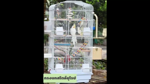 PetStern กรงนกทรงสูง 2 ชั้น ขนาดใหญ่ พับได้ สำหรับนกทุกขนาด เคลือบกันสนิม อุปกรณ์ครบชุด กรงนก สัตว์เลี้ยง