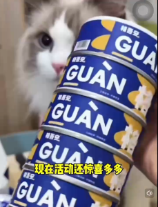 Pet Wet Food Broth GUAN Canned Food Complete Nutrition Supports Hydration For Cats & Dogs 85g