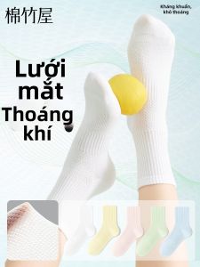 B&C.Room | Cotton Breathable Summer Medium Socks