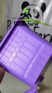 Pot Bunga Tanaman Gentong Persegi 8035 - Ungu