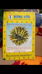 Hạt Giống Bí Đỏ F1 Siêu Bông (VG014) NÔNG HỮU - Bông trên từng nách lá (Gói 100 hạt)