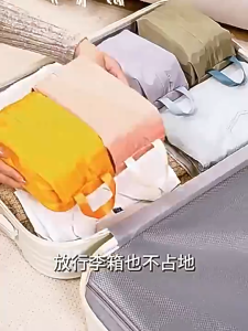 [SG Stock]Travel Storage Bag Portable Underwear Socks Cosmetics Organizer Bag Waterproof Toiletry Pouch with Handle for Travel Luggage
