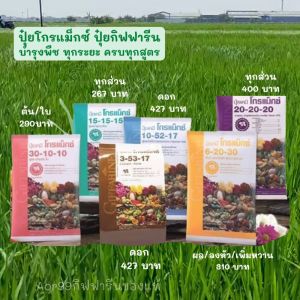 ปุ๋ย Giffarine NPK บำรุงพืช เร่งต้น-เร่งดอก-เร่งผล ลงหัว ปูกเกล็ด Aor99