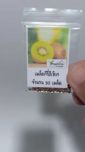 50 เมล็ด กีวี หรือ กีวีฟรุต (Kiwifruit) กีวี่ กีวีฟรุต เมล็ดกีวี เมล็ดกีวี่ เมล็ดกีวีฟรุต เมล็ดกีวี่ฟรุต
