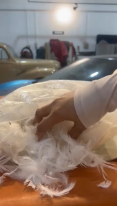 Premium Duck Down Feather Pillow Filling 500G - Hypoallergenic Comfort