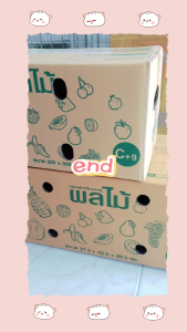 กล่องผลไม้หนา 5ชั้น   S+  ขนาด (24x37x14cm.)