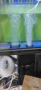 หัวทรายแบบแท่ง air Stone หัวทรายทรงกระบอก หัวทรายอ๊อกซิเจน หัวทรายตู้ปลาแบบละเอียด 50*300mm