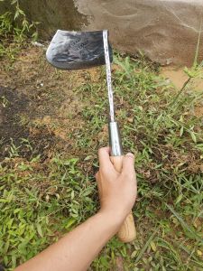 KORED RUMPUT PACUL MINI TENGKUIT