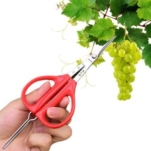 Grape Scissors Pruning Shears W/ Tweezers Garden Tool Vegetable Patch Bonsai Professional Joinery Stainless Steel Fruit Picking
