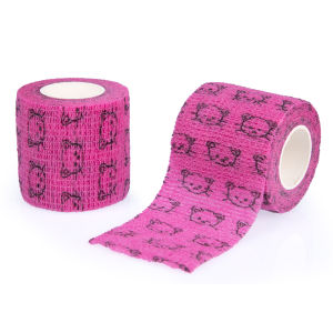 A set of six bandages with printed designs packaged individually.
