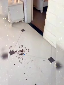 YXY 100% Berkesan - Power Ant Killing Bait / Power Cockroach Killing Bait 5g (serbuk semut/lipas)