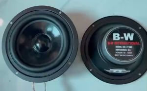 Loa mid 12 B-W từ 70  gân cao su toàn vành 14.5 cm hàng nhập - Loa trung cao cấp - Loa trung kín.