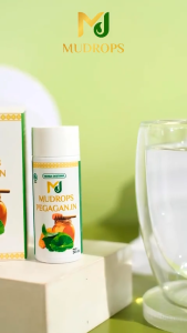 Mudrops Pegagan.in Jamu Tetes Pegagan Meningkatkan Daya Ingat 30 ml