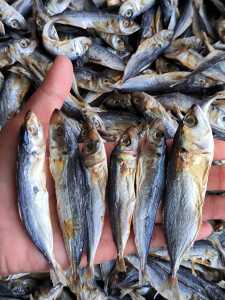 Ikan asin COD PEDA LAYANG TAWAR 1kg termurah promo!! tidak asin sama sekali