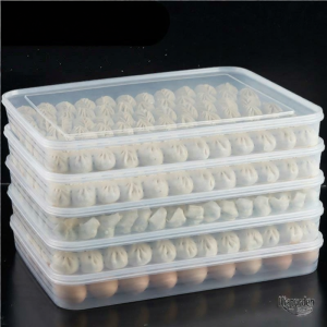 Besee | Multi-layered Food-grade Large Capacity Freezer Storage Box for Dumplings and Wontons