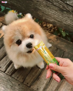 ขนมหมาเลีย BESTIE Plant-Based รสSweet Potato & Broccoli เต็มไปด้วยโปรตีนคุณภาพ ปราศจากเนื้อสัตว์