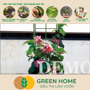 Giàn Leo Cho Cây Greenhome Daim Nhật Bản Daim R45xc125cm Khung Hoa Hồng Leo Cây Leo Dễ Lắp Ráp Độ Bền 5 Năm