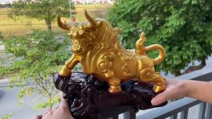 Tượng Trâu Con Giáp Tài Lộc (Vàng) Trang Trí Phong Thủy Cao 26cm