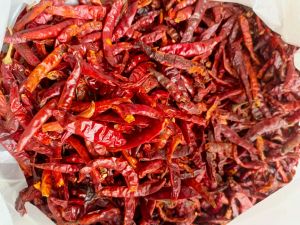 ( 500 gram ) rawit teja caplak kering tanpa tangkai super pedas