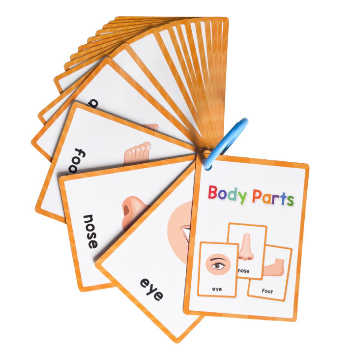 15PCS Body Part Flash Cards for Kids Learn about The Body