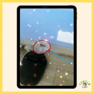 Aquarium Turtle Tank Fish Net Artemia Sauk Ikan Cleansing Tool 小小捞鱼网 (S Size)