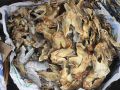 Dried Danggit (Boneless) 100 grams Organic Dried Fish. 