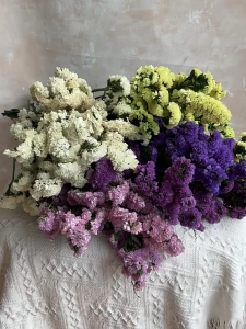 100g Natural Real Forget Me Not Flower Bouquet Romantic Couple Gifts Dried Flowers Wedding Bunch for Bride Home Vase Decoration