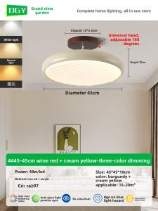 DGY | Vintage Warm Cream French Retro Childrens Room Ceiling Light Full Spectrum
