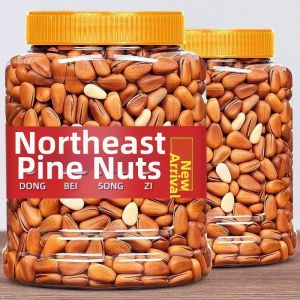 Premium Large Size Northeast Pine Nut Kernels