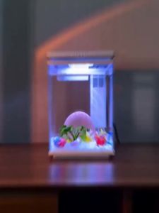sunsun | Desktop No-Water-Change Ultra-White Glass Ecological Aquarium