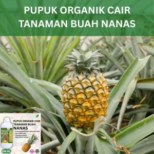 Pupuk Buah Nanas 500 ML /Pupuk Booster Nanas Cepat Berbuah Lebat/Pupuk Cair Nanas