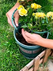 YOUJ Green Plastic Plant Support Pole Climbing Flower Frame Crab Claw Ball Support Flower Vine Rack Splicing Flower Stand Indoor Household